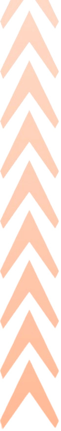 Arrows